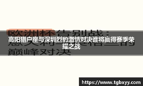 高阳猎户座与深圳烈豹激情对决谁将赢得赛季荣耀之战